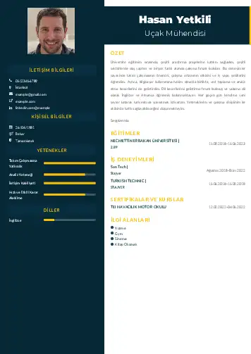 Havacılık Ve Uzay Uçak Mühendisi Cv Örnekleri cv indir